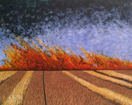 Burning Fields  (2014)